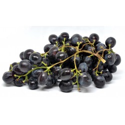 Uva Nera Adora Senza Semi gr.500, Frutta Fresca Sfusa