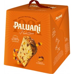 Paluani panettone classico gr.700